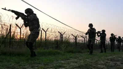 Jammu & Kashmir: Landmine found along LoC in Poonch, destroyed