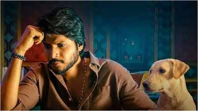 'Sigma' box office collection day 7: Jason Sanjay's film earns Rs 8.27 cr India net; Soori's film reaches Rs 100.58 cr