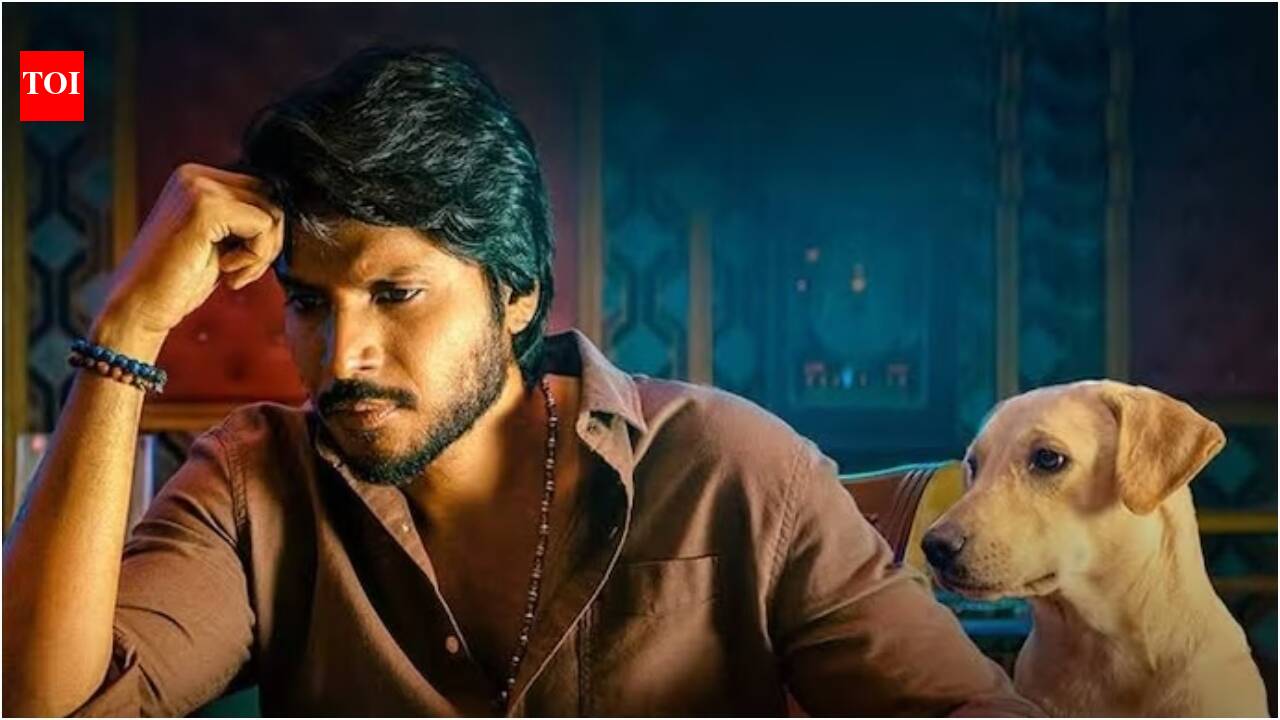 'Sigma' box office collection day 7: Jason Sanjay's film earns Rs 8.27 ...