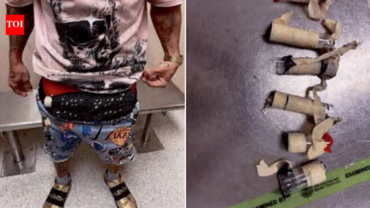 Miami airport passenger had ‘unexplained bulge’; 10 live birds found in underwear