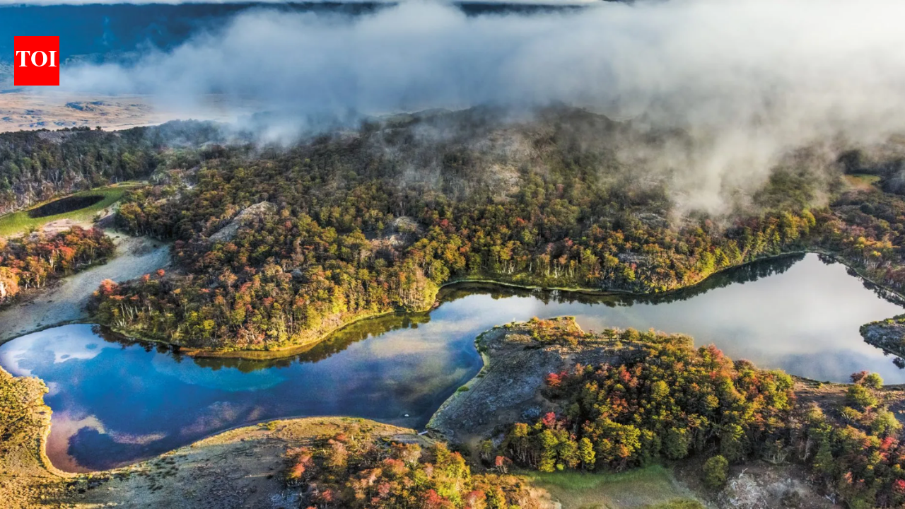 Kris Tompkins’ group bought a 174,500-acre Chilean ranch in 2004; it became a park in 2018