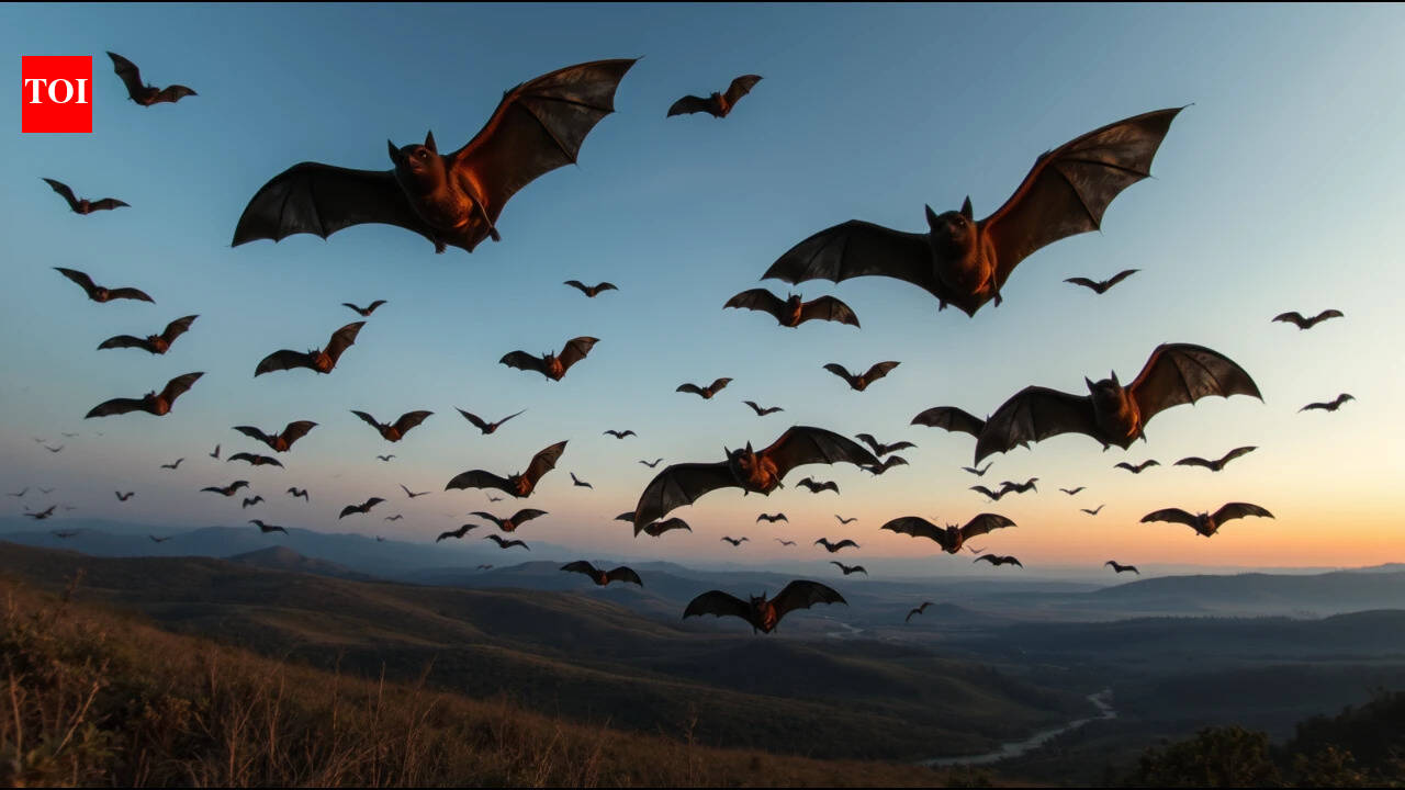 Study of 103 Bat Genomes Points to Europe as Bats’ Likely Birthplace