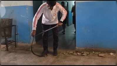 RTU students’ protest over snakebite death enters second day