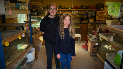 Two 14-year-old UK conservationists are recruiting 20 children, aged 8 to 13, to raise harvest mice at home and help rebuild their declining population