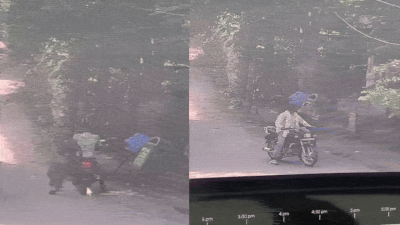 Woman goes missing from zoo during outing with husband, CCTV shows her leaving with another man