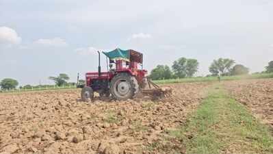 Bhilwara faces 1 lakh hectare drop in Rabi sowing due to weak monsoon