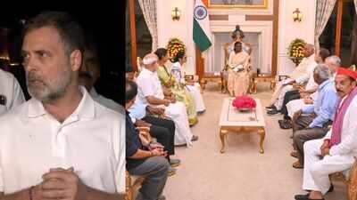 'She didn't contest our vote chori claim, sought proof': Rahul Gandhi after meeting President Murmu