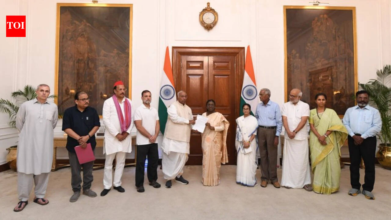'Repeal all assembly polls over last 2 years': INDIA bloc MPs meet President Murmu, make 4 demands
