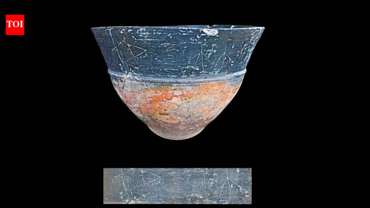3,000-year-old writing system unearthed in Tamil Nadu | Chennai News ...