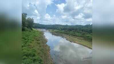 After decades, protest over Bedthi river water diversion reaches a crescendo