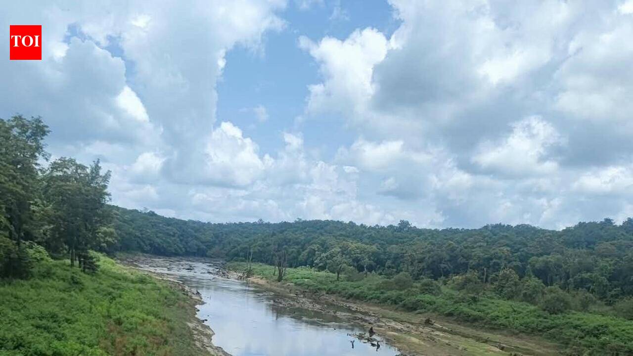 After decades, protest over Bedthi river water diversion reaches a crescendo