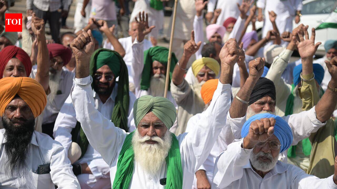 India-US trade deal a ‘death warrant’ for farmers: SKM