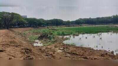 Winter migrants set to arrive, but Bengaluru’s Hebbal lake revamp still six months away