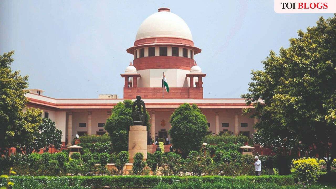 Place for protesters - The Times of India