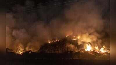 MP races ahead of Punjab in farm fires, UP close behind