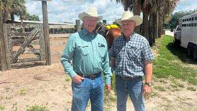 In 1937, a Florida family started a cattle ranch; nearly 90 years later, Adams Ranch spans 50,000 acres, ranks among the country's largest cow-calf operations and raises its fifth generation