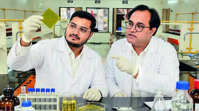 MSU scientists turn turmeric, rice husk into antibacterial coating ...