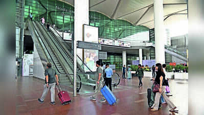 Noida reviews bird-hit risk and animal management  around airport
