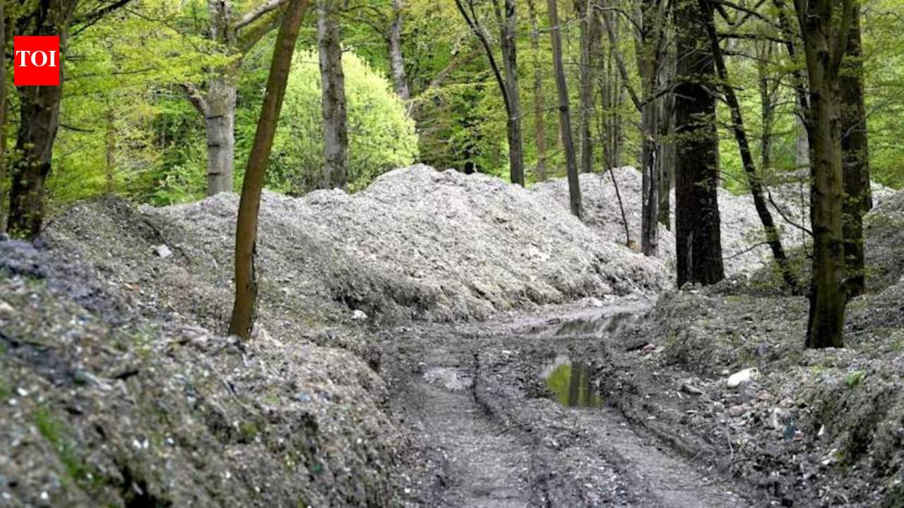 Massive Clean-Up Removes 39,500 Tonnes of Illegal Waste from Kent Woodland