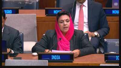 ‘Peddling lies and falsehoods’: India hits back at Pakistan at UN over Jammu and Kashmir