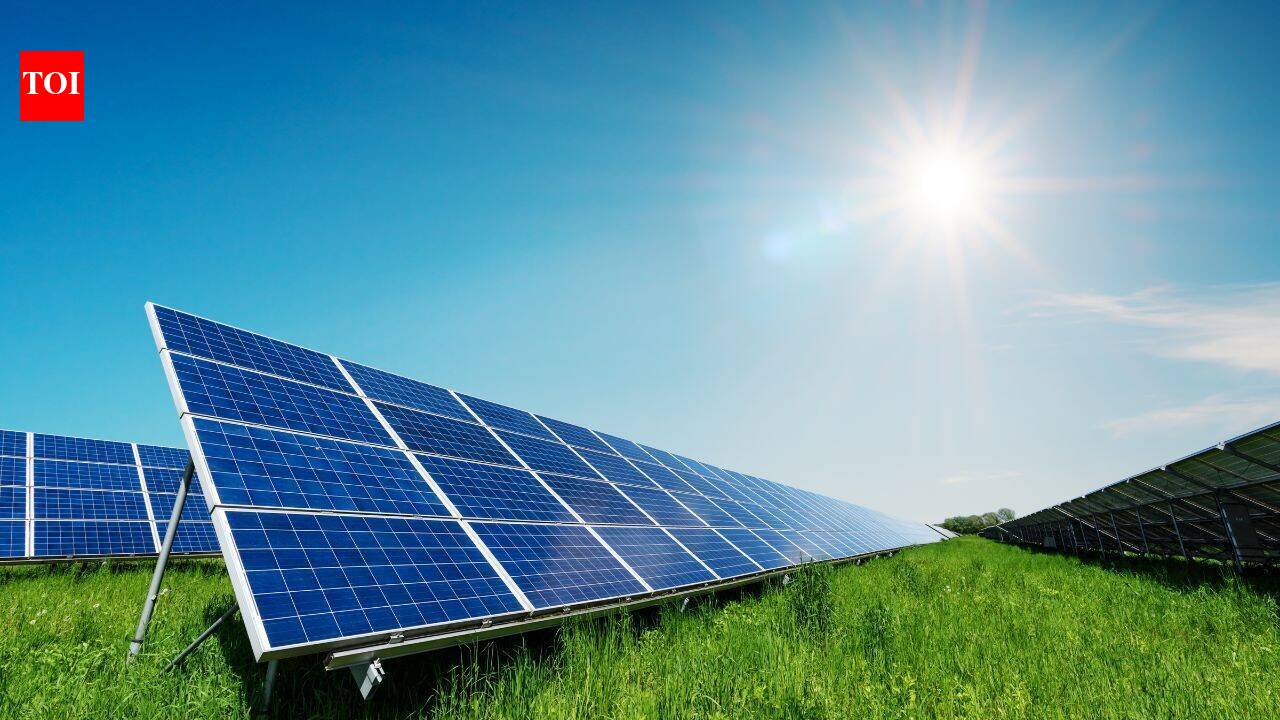 Massachusetts dairy farmer earns $1,000 a week from solar field that replaced a Walmart deal