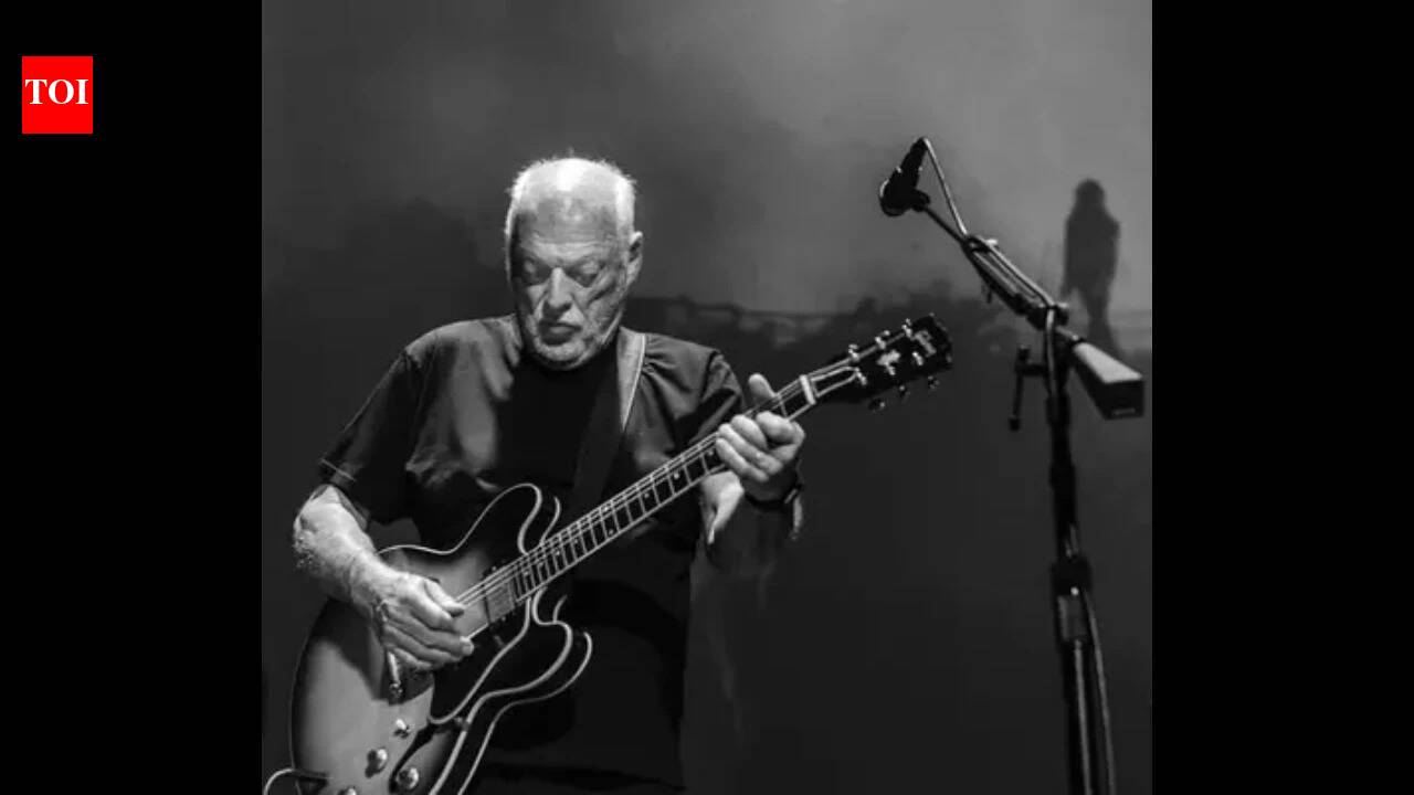 David Gilmour sold his guitars for $21.5 million to fund climate change and nature protection work