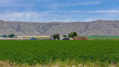 In 2019, a Nevada farmer used solar panels to irrigate 500 acres of alfalfa alongside diesel generators, saving 16,385 gallons of diesel and projecting $1 million in lifetime savings