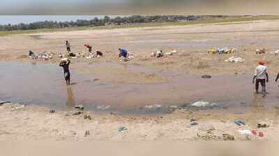 After a decade, auction of four Palamu sand ghats fetches Rs 26.5cr