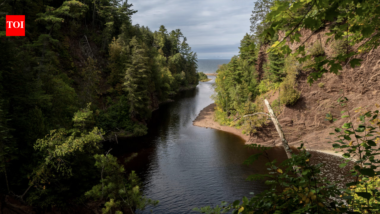 Wisconsin protects over 1,700 Lake Superior acres, restores wetlands and habitat