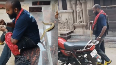 Odisha snake rescuer dies after cobra bite while filming reels