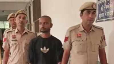 Nuh court sentences mobile snatcher to 5 years in jail