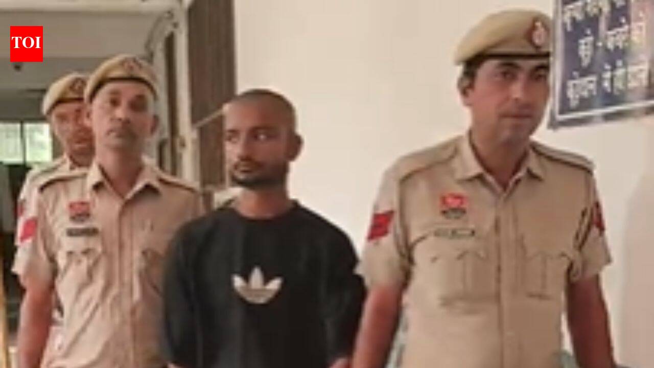 Nuh court sentences mobile snatcher to 5 years in jail | Gurgaon News ...