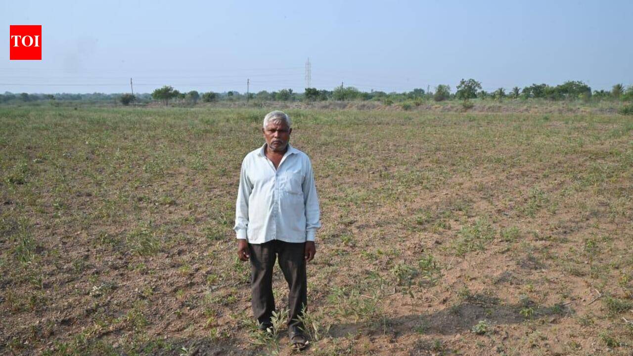 ‘Own 4 acres of land, yet may have to work as daily wager for family’s ...