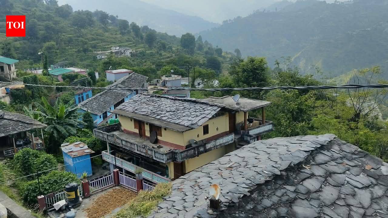 Monkey menace forces Uttarkashi farmers to cut down over 50 fruit trees
