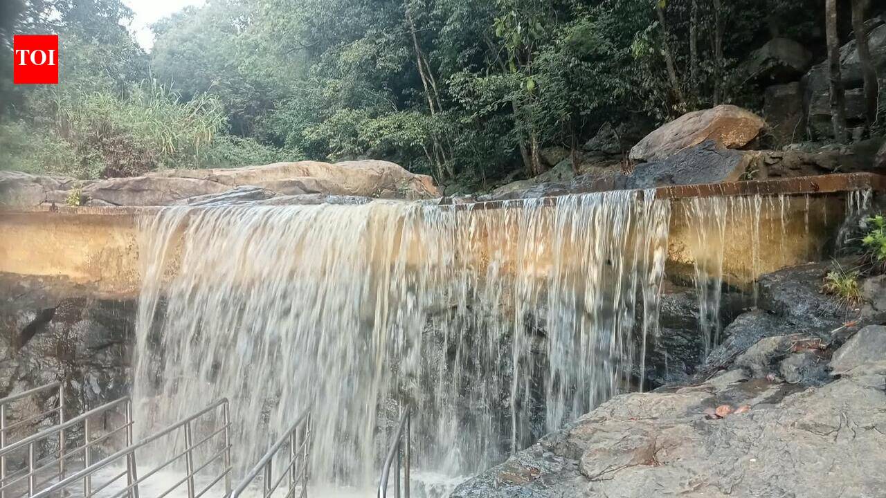 Pachamalai falls open for tourists after five months