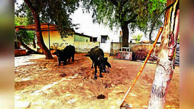 Jyoti gone, family battles unkept promises, despair