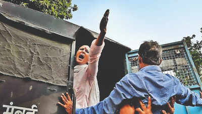 Curbs fail to mute anti-SIR chorus sweeping states