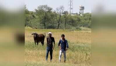 Debt, abuse and restricted movement: 14 rescued from farms in suspected bonded labour cases in Rajasthan