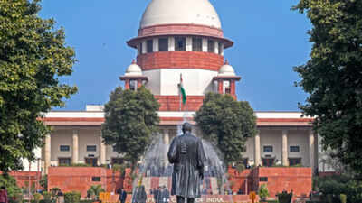 'No illegal detentions, restore internet, metro services': Supreme Court after Delhi protest crackdown - top quotes