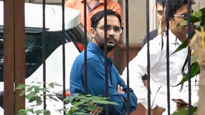 ‘Istifa to dena hi hoga’: CJP’s Ashutosh Ranka attacks Gyanesh Kumar after release, says ‘ready to spend life in jail’