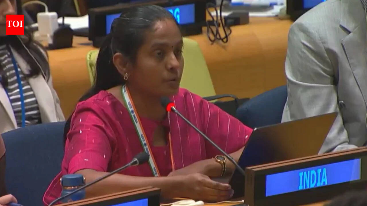 'Army is the rule, army is the law': India tears into Pakistan at UN ...