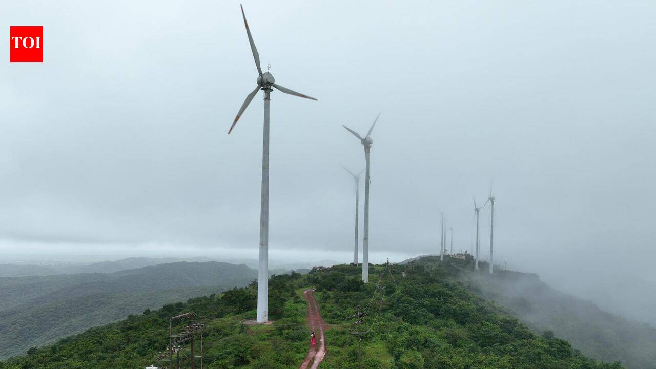 Karnataka wildlife board rejects 4 quarry proposals near Kappatagudda