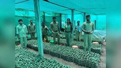 C'magaluru centre attracts pan-India students for coffee diploma