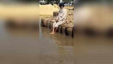 477% excess rain in 24 hrs damages paddy, cotton in Punjab