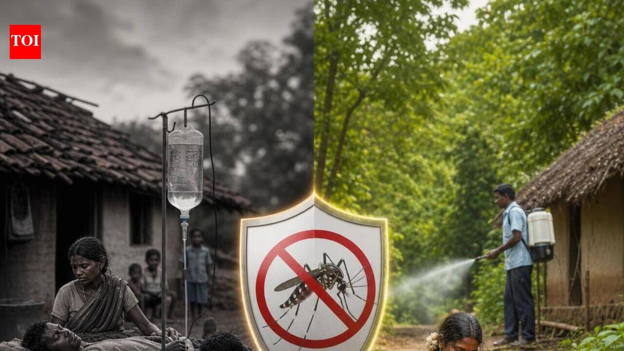 Malaria deaths in Gadchiroli more than halve this year, none in last 2 months