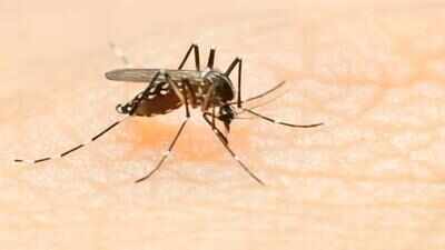 Pregnant woman with dengue fails to get hospital bed in Mumbai