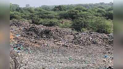 Gaps in monitoring? Faridabad forest patch cleared of encroachments, but it’s a dumpyard now