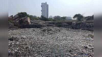 Gaps in monitoring? Faridabad forest patch cleared of encroachments, but it’s a dumpyard now