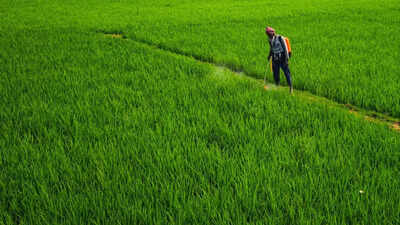 India’s agri-seed sector accounts for the largest share of receipts under benefit sharing regulations during April-Sept