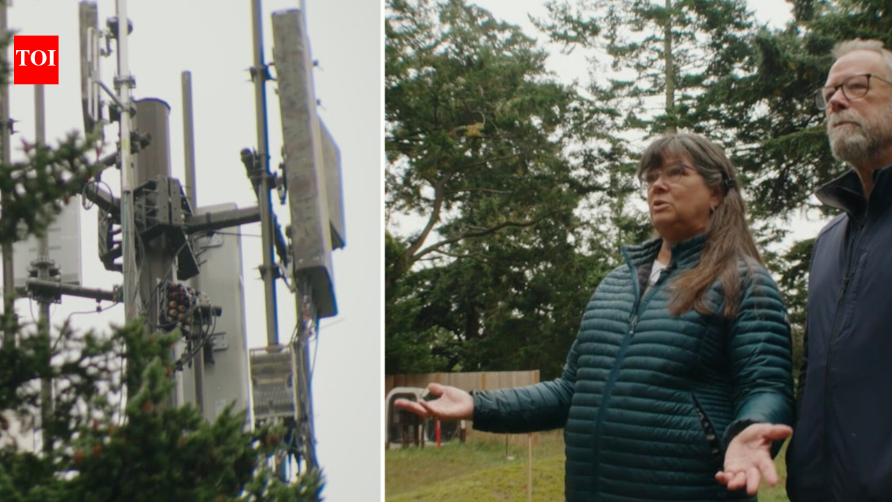 Utility Tower Easement Dispute: Washington couple sue OPALCO over taller tower; case tests upgrade rights